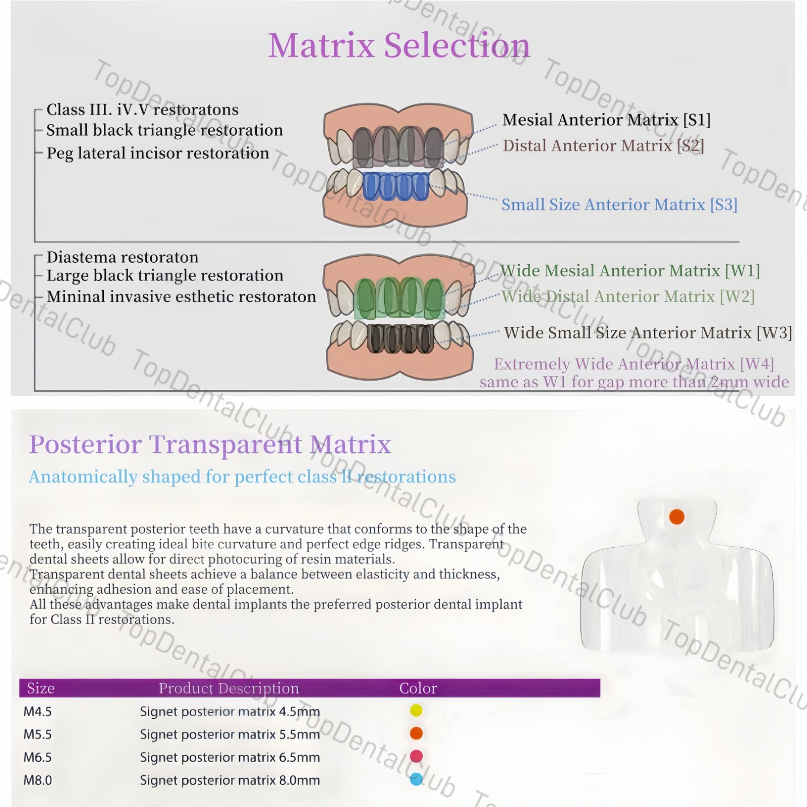 Clear Matrix Dental Anterior Posterior Transparent BT Matrices Fit BioClear