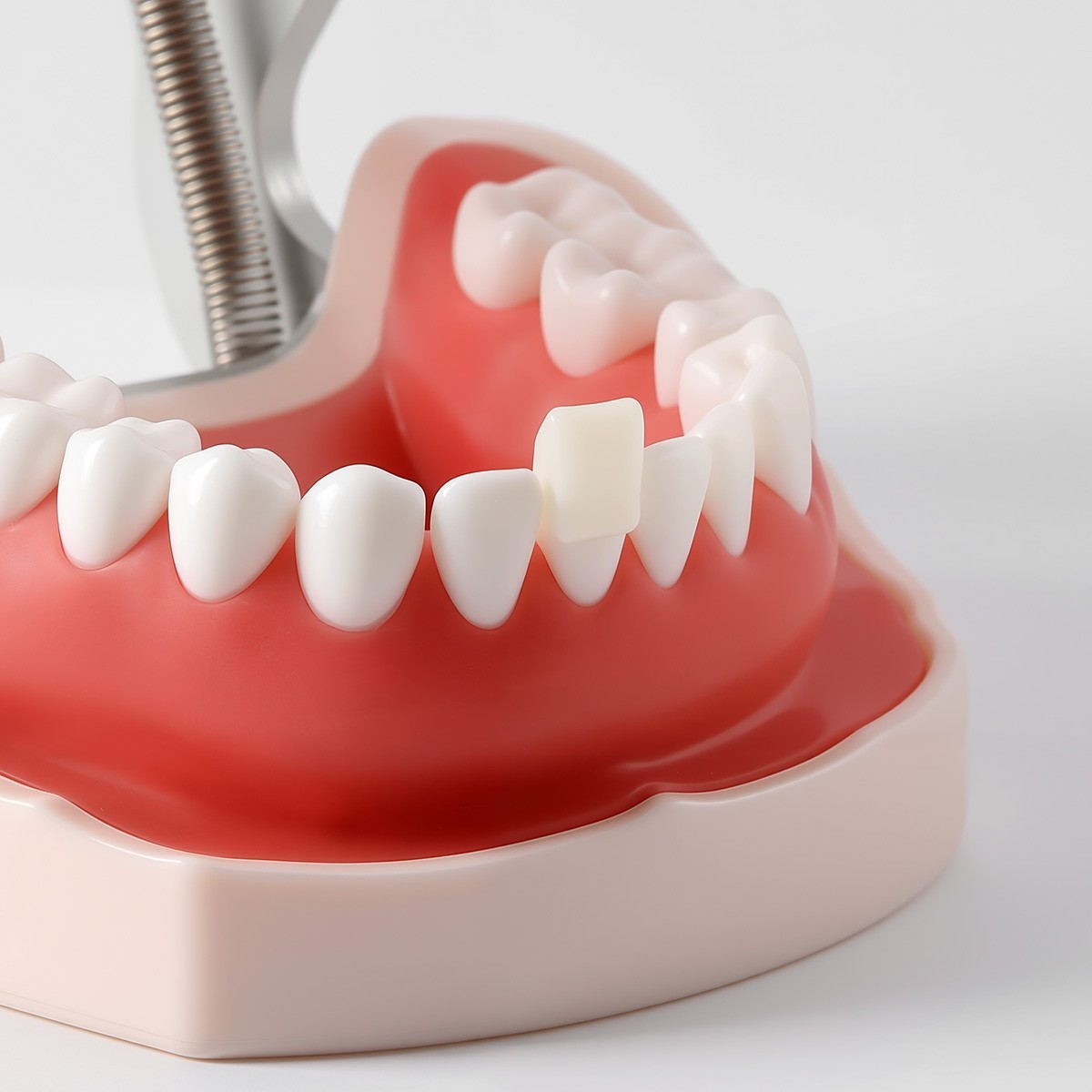 Resin Teeth Dental Temporary Crown Anterior Posterior teeth natural color