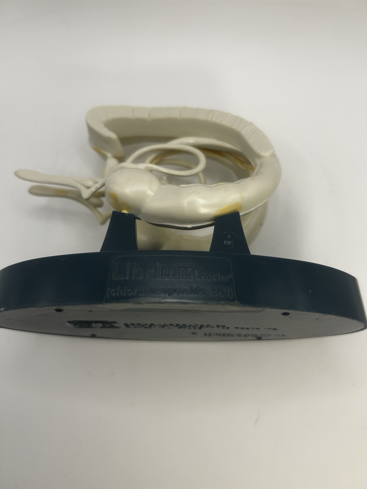 Vintage Roche Librium Brain Anatomical Model Medical Advertising Display Rare 3D