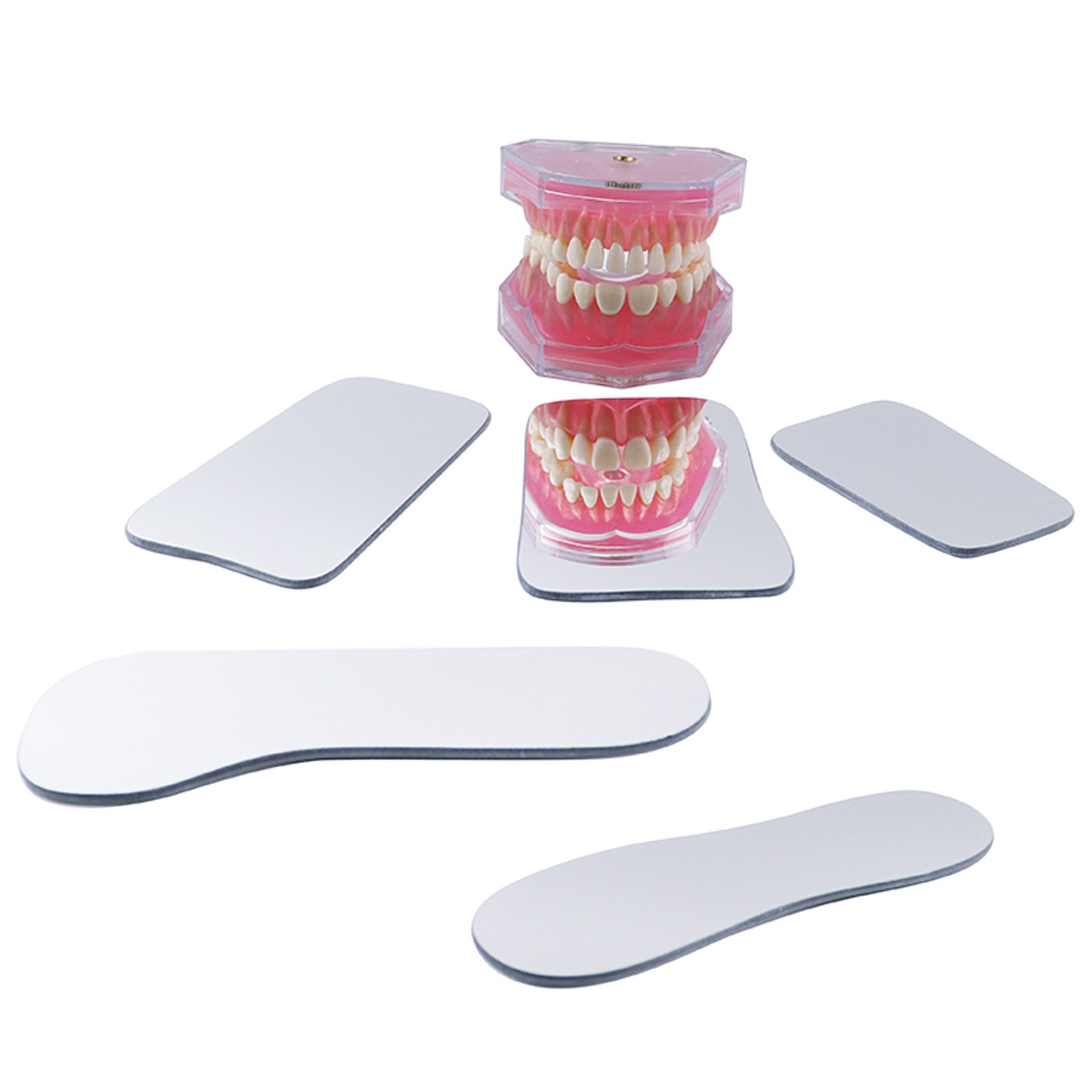 Dental Intraoral Orthodontic Occlusal 2Side Photographic Glass Mirror Photograpy