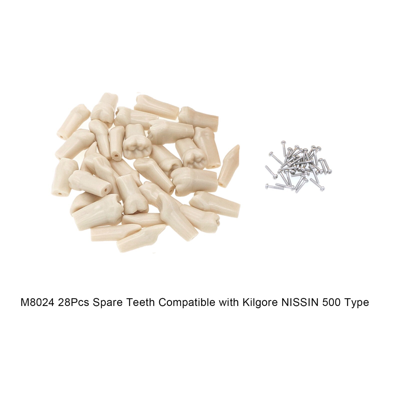Fits for Kilgore NISSIN 200/500 Type Dental Typodont Model With Removable Teeth