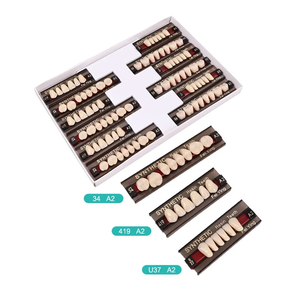 Dental Acrylic Resin Denture Teeth Upper Lower Full Set Shade Anterior Posterior
