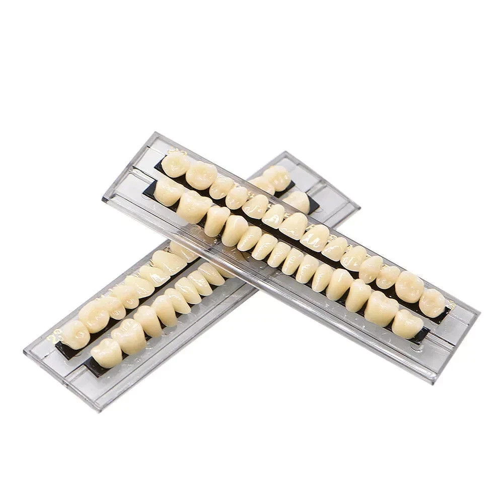 28Pcs/Set Laboratory Dental Temporary Acrylic Resin Denture Full Set False Teeth
