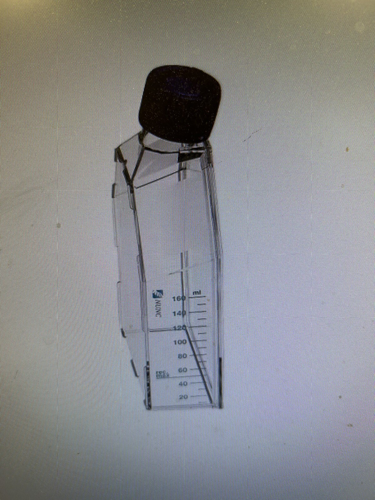 Nunc 156800 Easyflask Culture Flask with Angled Neck & Filter 260ML