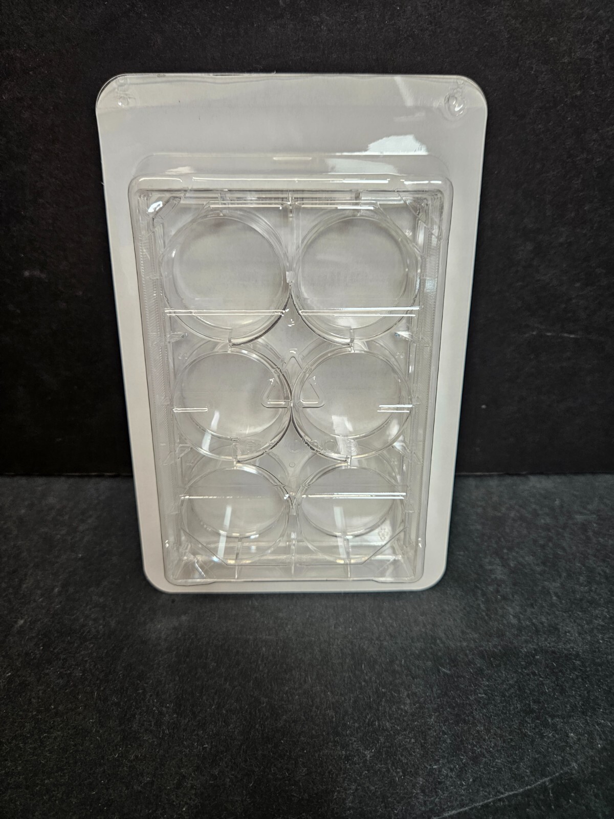 Fisherbrand Microplate 6 Well Flat Bottom 100 Plates