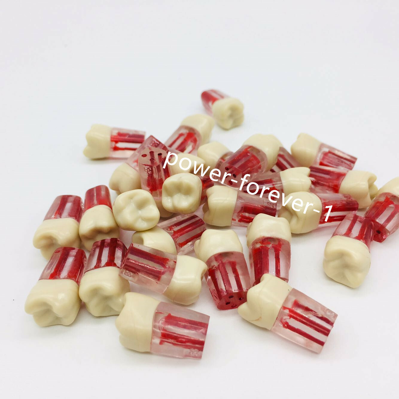 5Pc Dental Endo Root Canal Pulp Files Practise Blocks Study Model 11/16/26/36/46