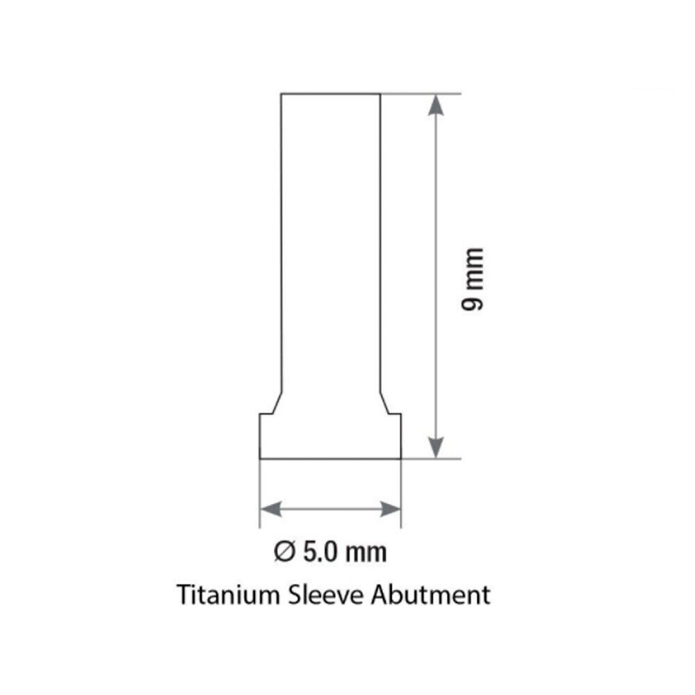 5pcs Temporary Straight Titanium Abut men ts With Screws Internal Hex