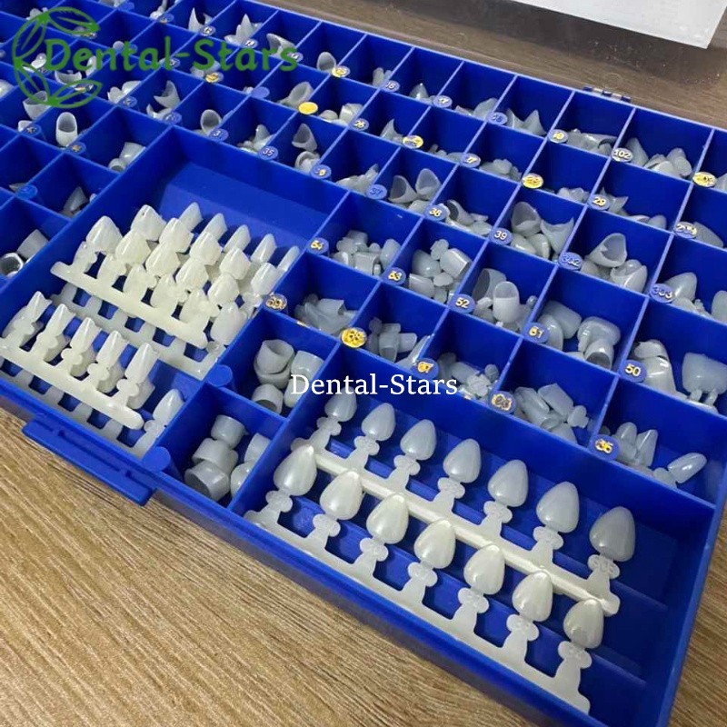 Dental Polycarbonate Temporary Crowns 66 Sizes Anterior Cuspid Resin Crown 390Pc