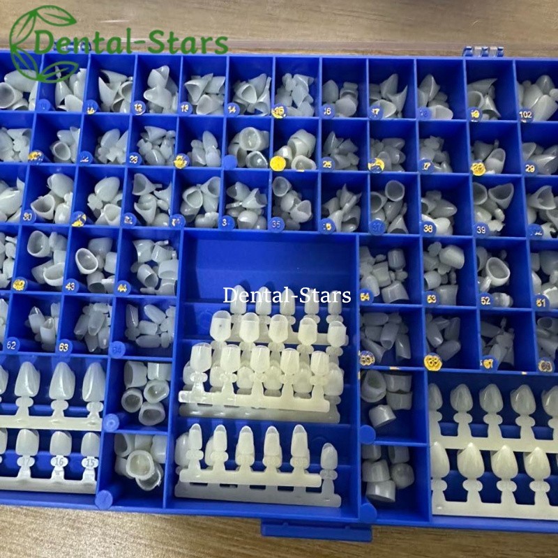 Dental Polycarbonate Temporary Crowns 66 Sizes Anterior Cuspid Resin Crown 390Pc