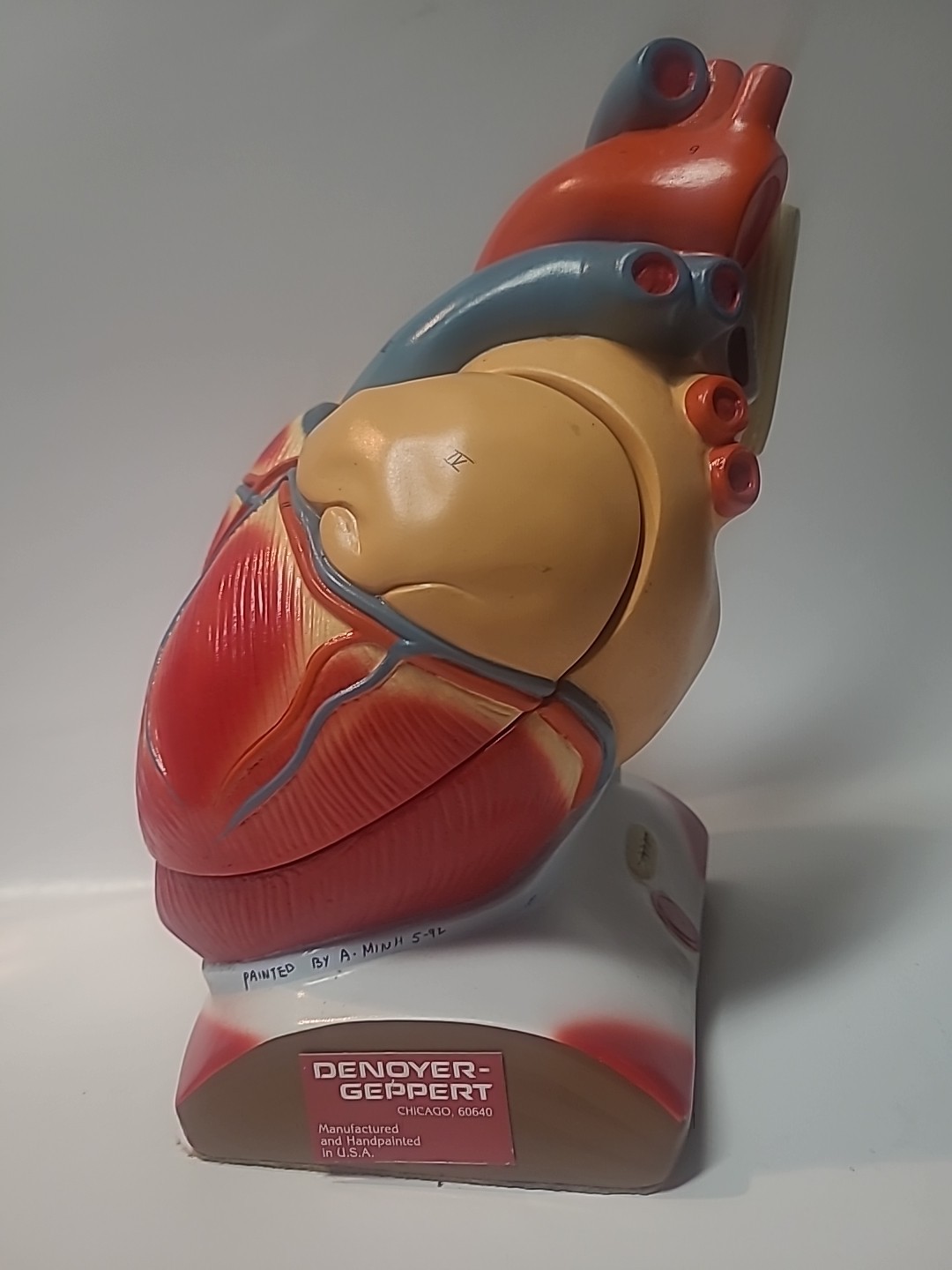 Vintage Denoyer-Geppert Heart of America Model, Working Hinged Flaps