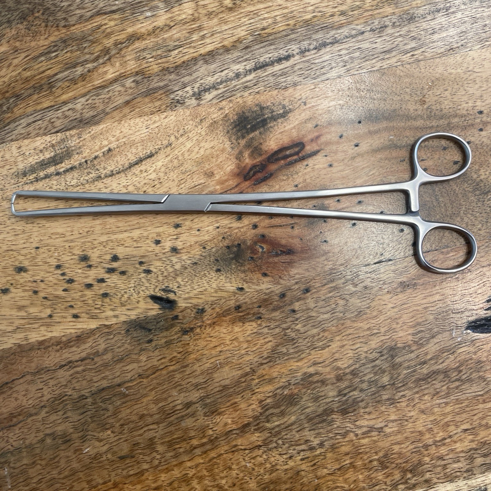 Speculum Training Vaginal Model,Medical Model, Activist Medicines 360, Tools!