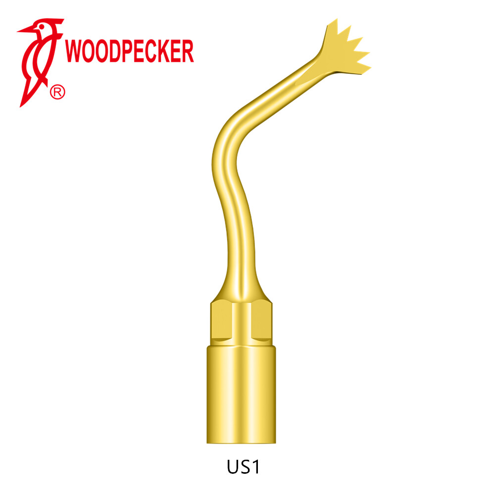 Dental Piezo Scaler Ultrasonic Bone Surgery U Tips Fit NSK Woodpecker US-II LED