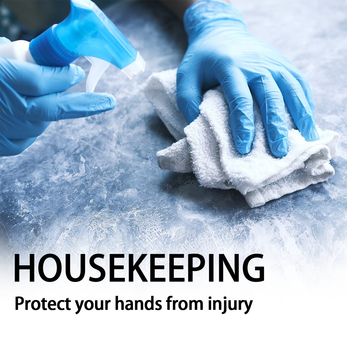 Disposable Blue Vinyl Gloves Latex-Free Powder-Free 1000 Count