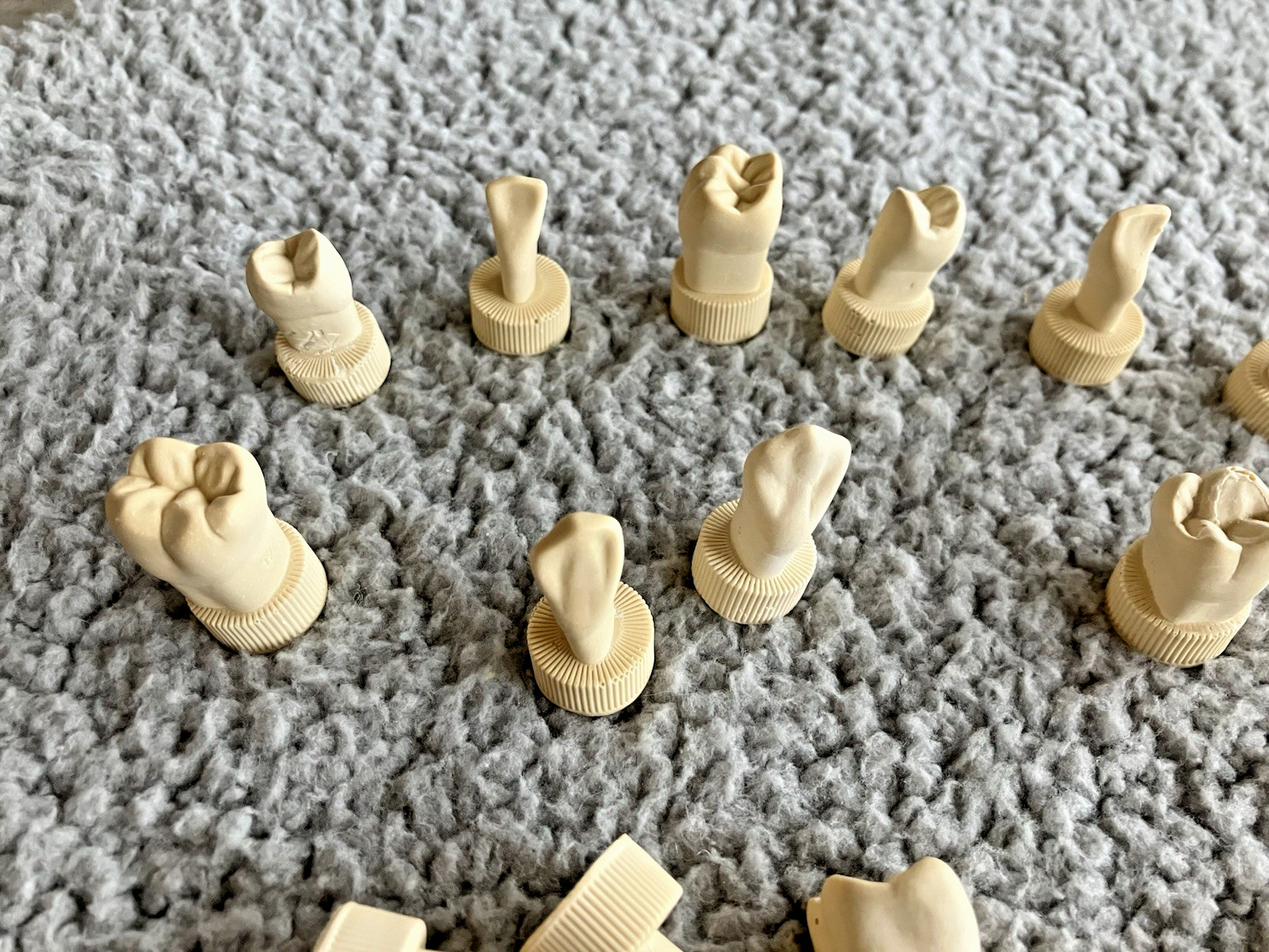 DENTAL TEETH Models 28 pcs Typodont Demonstration For Students Teach Tooth Study