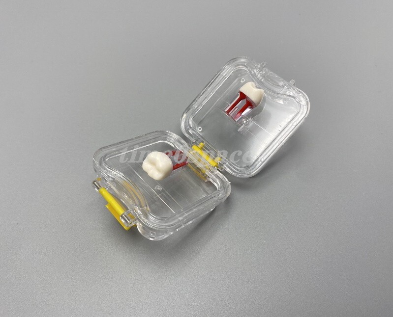 20Pcs Dental Box Jewelry Storage Boxes Hinged Display Clear Membrane Case Small