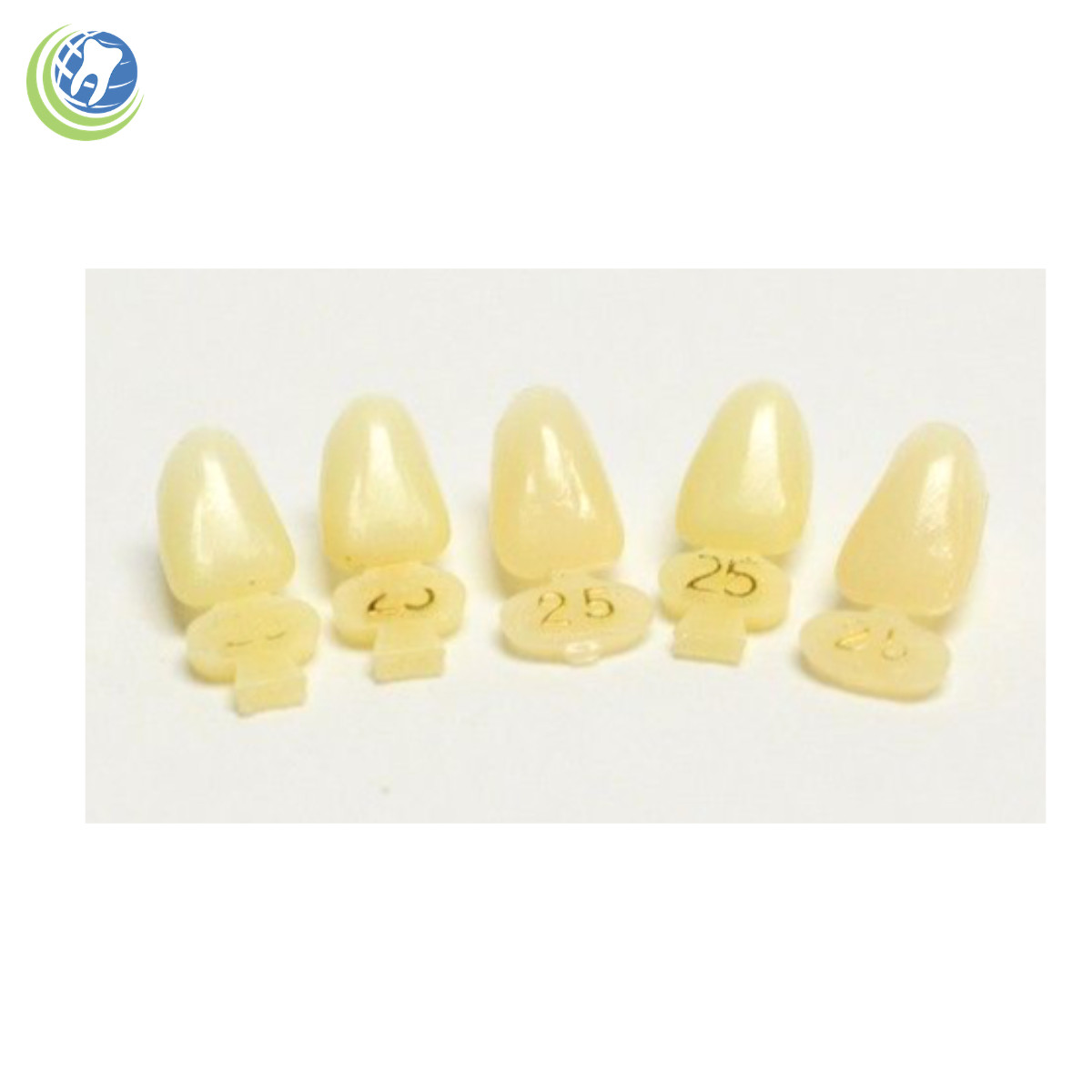 DENTAL POLYCARBONATE TEMPORARY CROWNS #25 (ULL) UPPER LEFT LATERAL 5/PACK