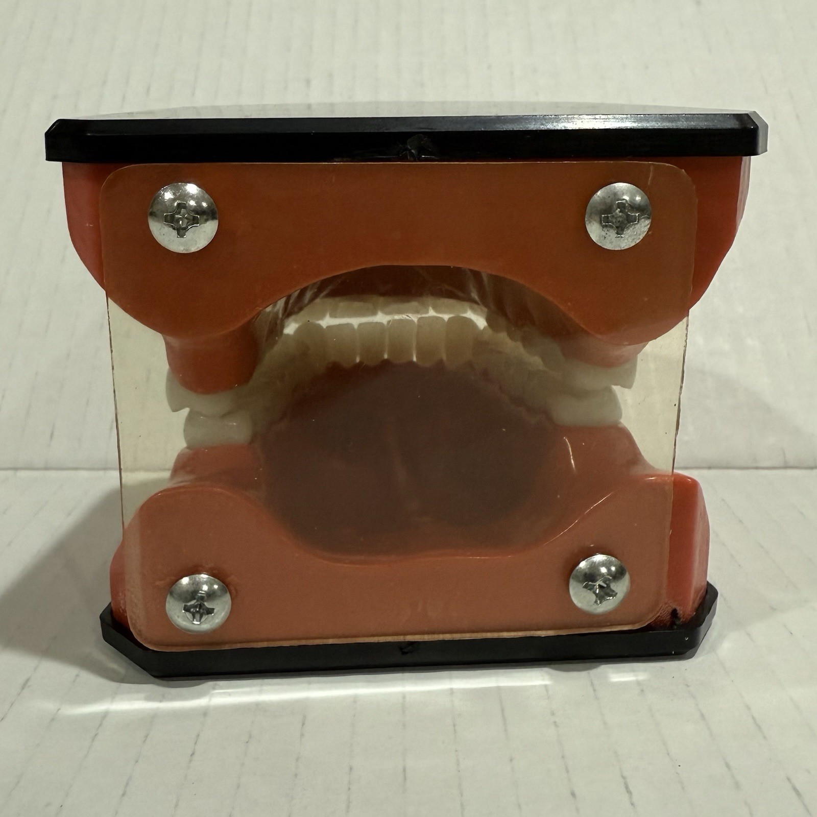 Oral Teaching Model Learning Demonstration Display for School and Home Classroom