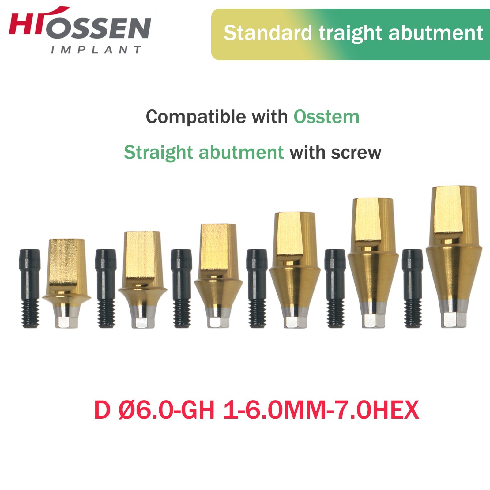 Osstem Hiossen Ti Cemented Straight Abutment Hex Mini/Regular Platform 1-6mm GH