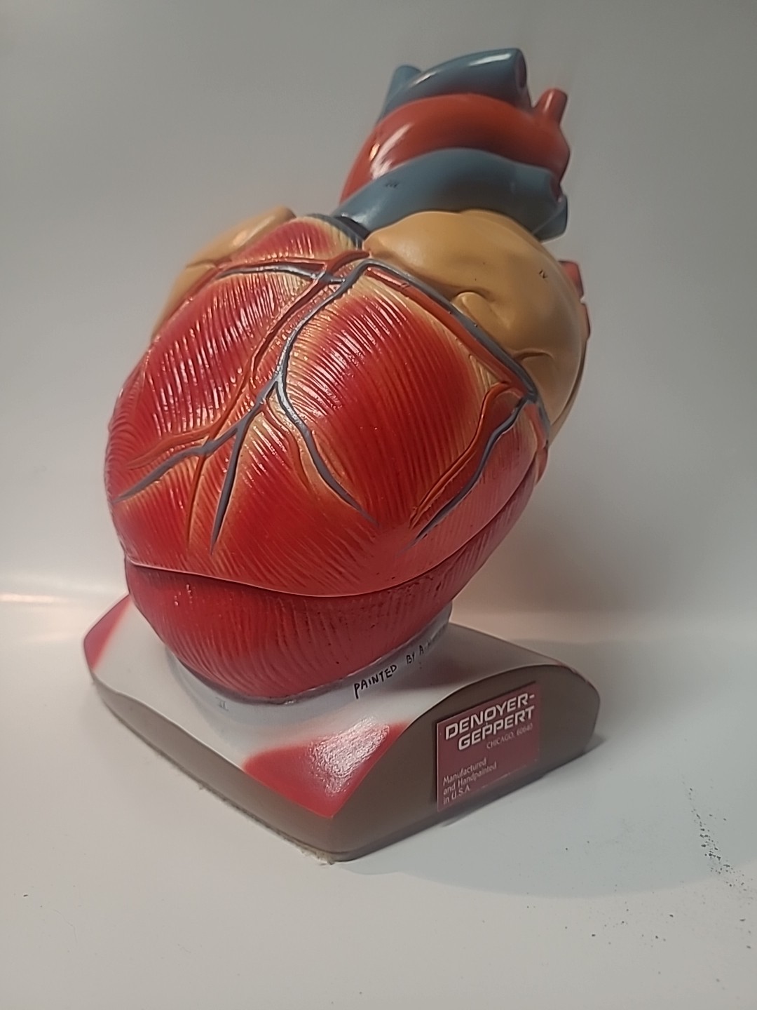 Vintage Denoyer-Geppert Heart of America Model, Working Hinged Flaps