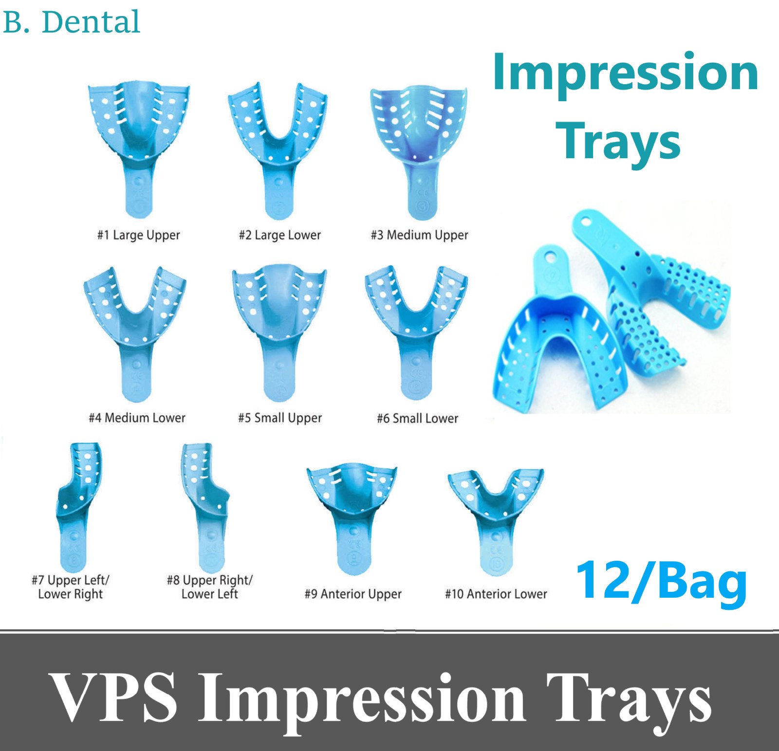 Dental Impression Trays Perforated Plastic Autoclave (CHOOSE SIZE) (1 Bag of 12)