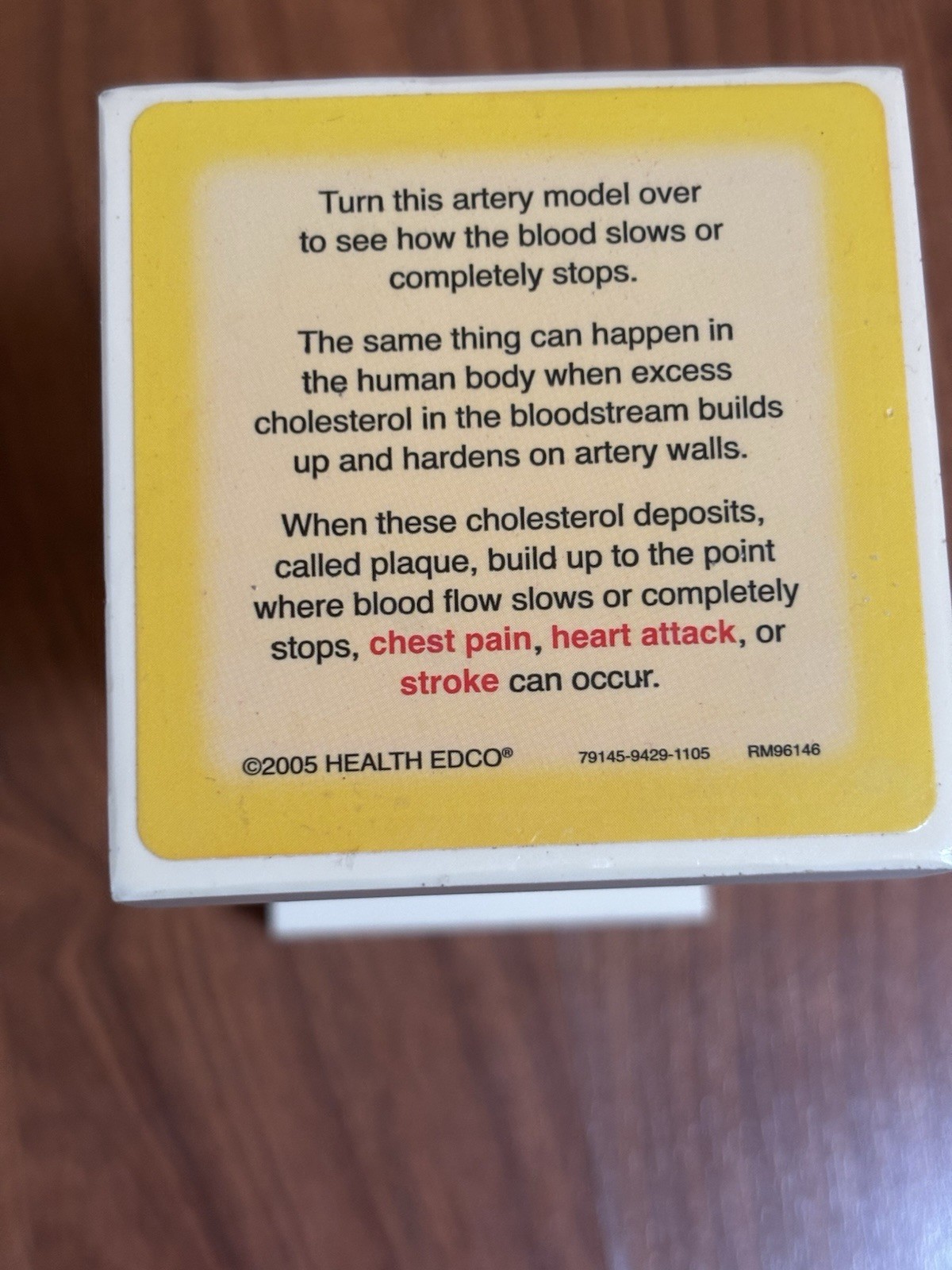 Health EDCO Occluded Artery Model Great Patient Visual Cholesterol Education