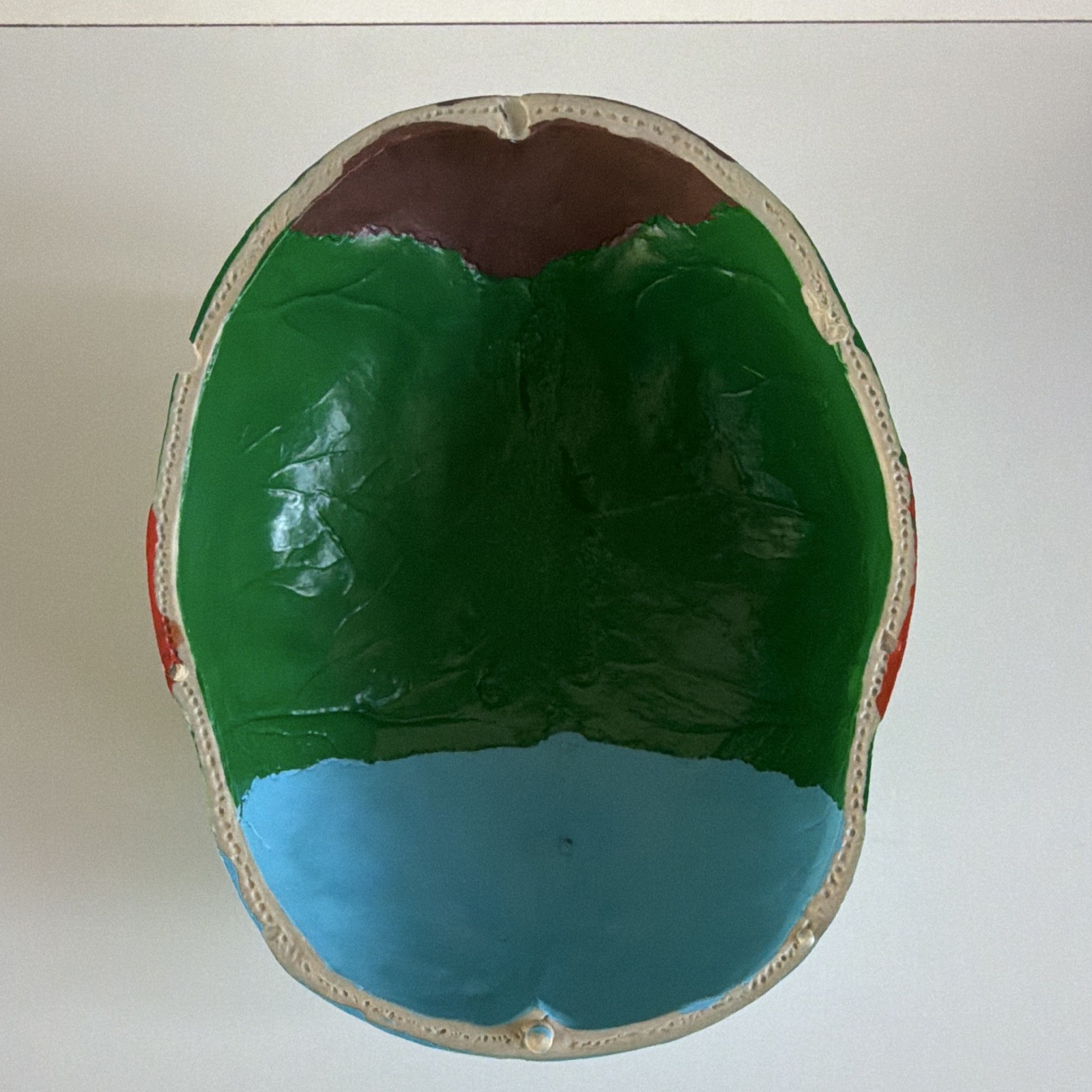 Life Size Colorful Human Skull Model Anatomical Anatomy Medical Teach Skeleton