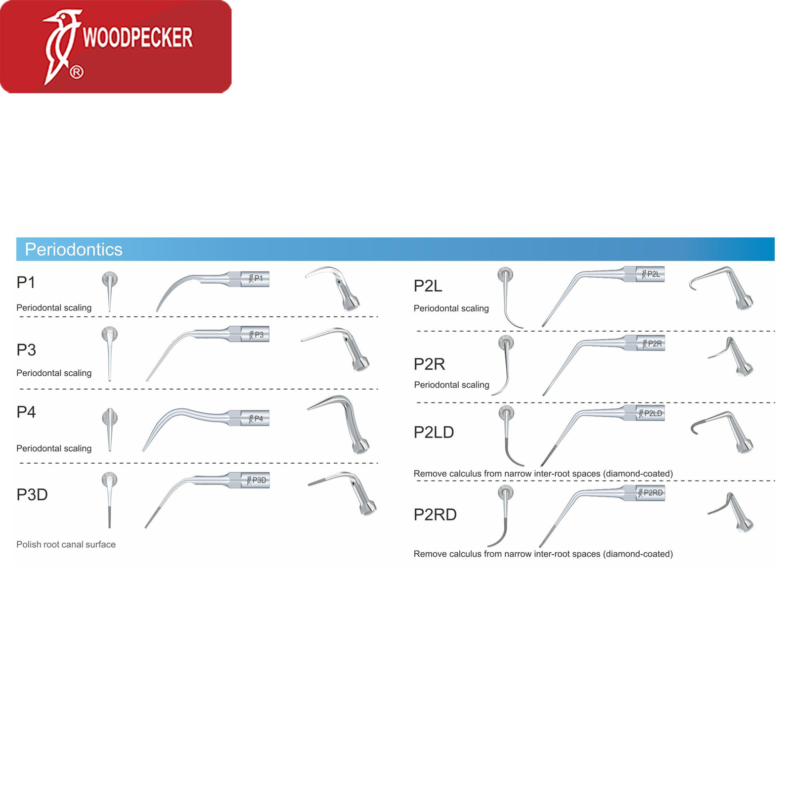 Woodpecker Dental Ultrasonic Piezo Scaler Tips Endo Perio DTE SATELEC NSK EMS