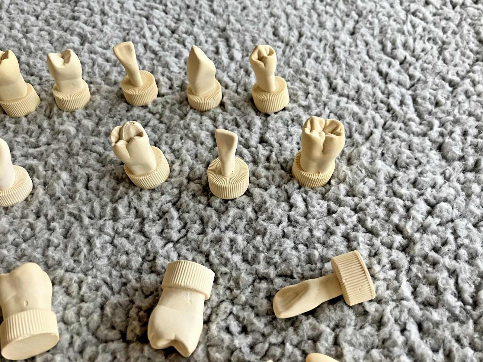 DENTAL TEETH Models 28 pcs Typodont Demonstration For Students Teach Tooth Study