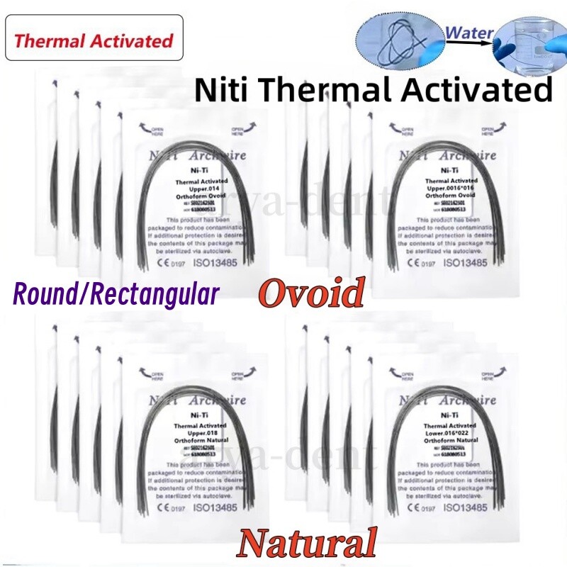 Dental Orthodontic Thermal Activated Archwires Niti Arch Wire Ovoid Natural Form