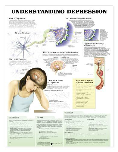 Depression Laminated Wall Chart 20″ x 26″ Classroom/Professional LFA #99974