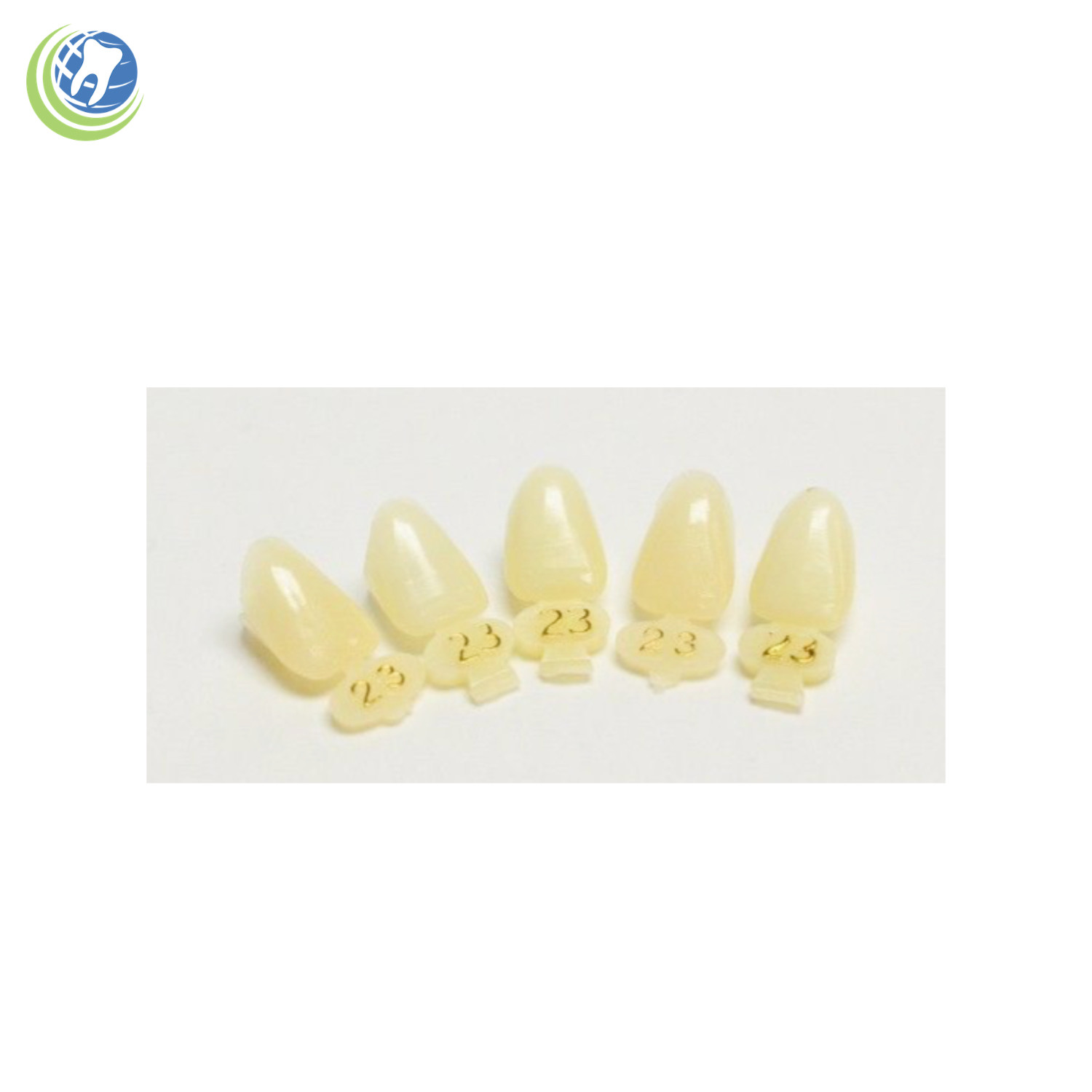 DENTAL POLYCARBONATE TEMPORARY CROWNS #23 (URL) UPPER RIGHT LATERAL 5/PACK