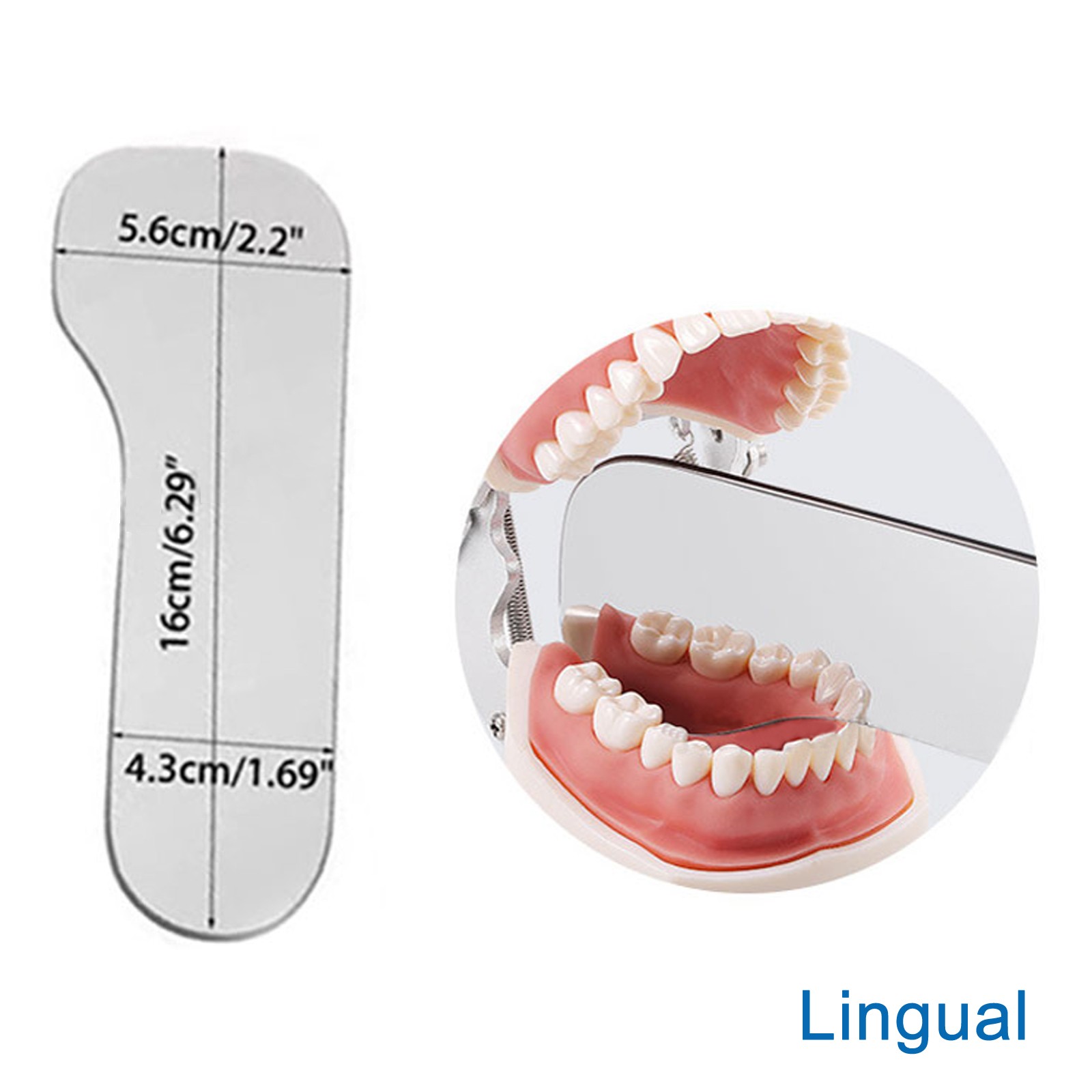Dental Intraoral Orthodontic Occlusal 2Side Photographic Glass Mirror Photograpy