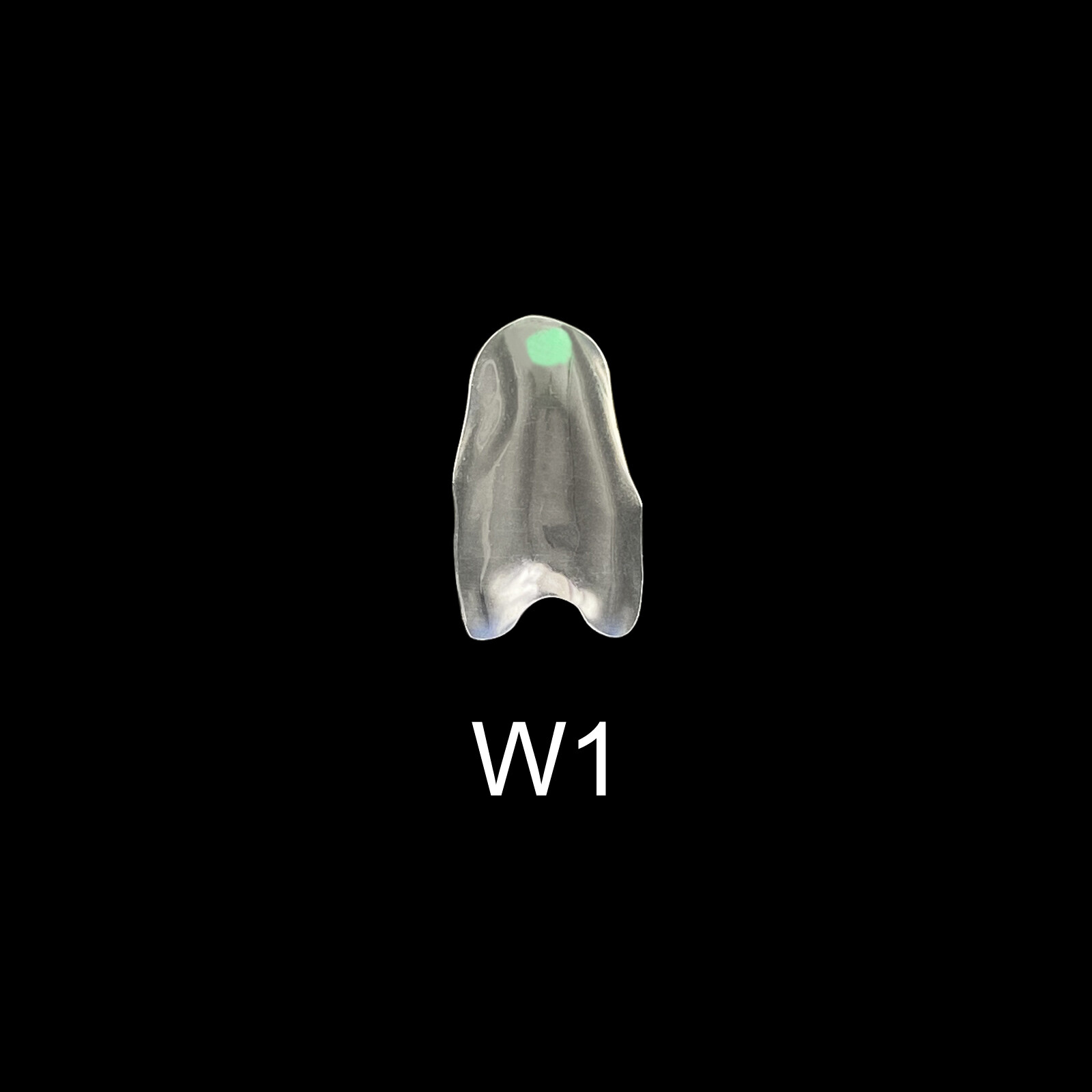 Dental Clear Matrix Anterior Posterior Restorative BT Bow Matrices Fit BioClear