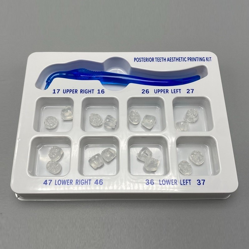 Dental Veneers Mould Composite Resin Anterior Posterior Teeth Molar Restoration