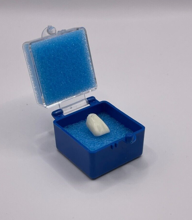 50 Pack, 1″ Blue Crown Foam Case Container Hinged Display Box Jewelry Teeth