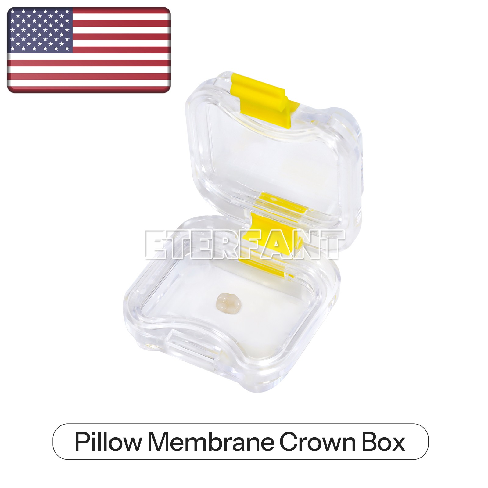 Dental Lab Crown/Bridge Boxes Storage Display Box with Membrane/Sponge Fillers