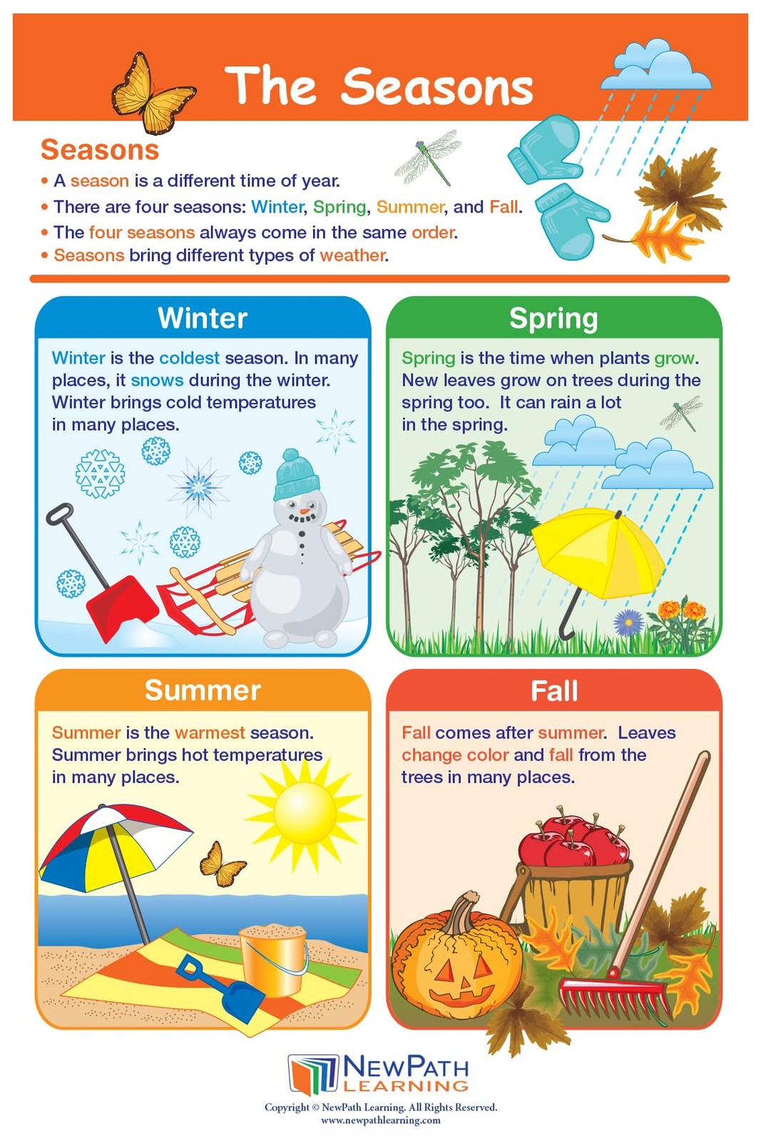 1 Science Anchor Charts Set of 10 (12×18″) & 25-Page Resource Guide Covering …