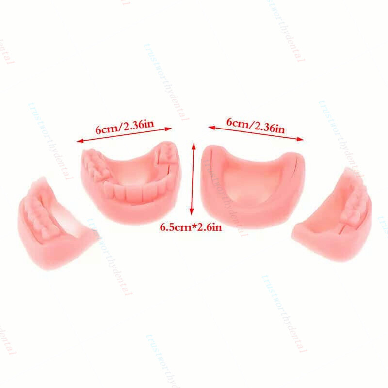 Dental Gum Teaching Training Surgical Suture Reverse Cut Simulation Suture Model