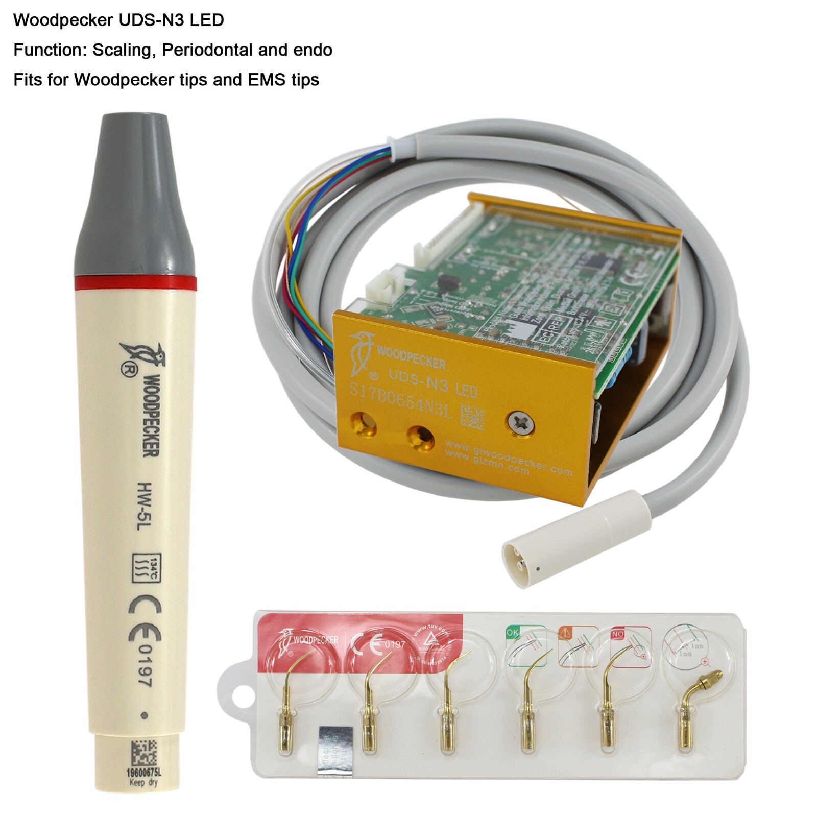 Woodpecker DTE Dental Ultrasonic Piezo Scaler Handpiece Tips HW-5L HD-7L G1 GD1