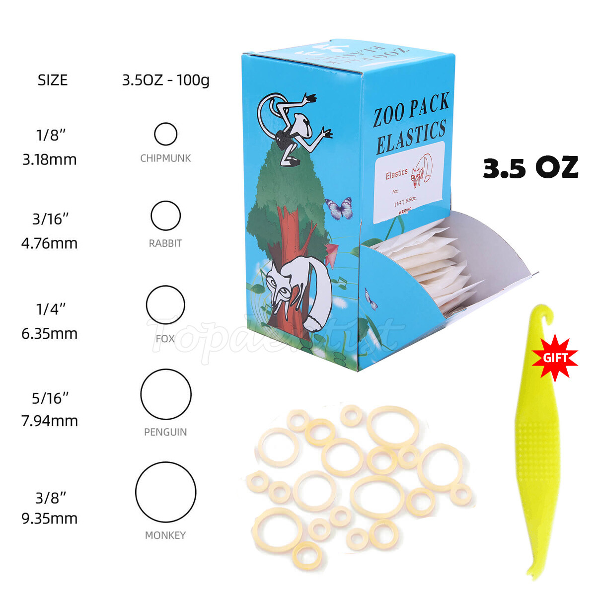 5000 piezas AZDENT Bandas goma elásticas de látex para ortodoncia Dental 3.5 OZ