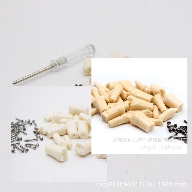 28 Pcs Dental Typodont Teeth Model Kilgore NISSIN 200 Type Removeable Teeth