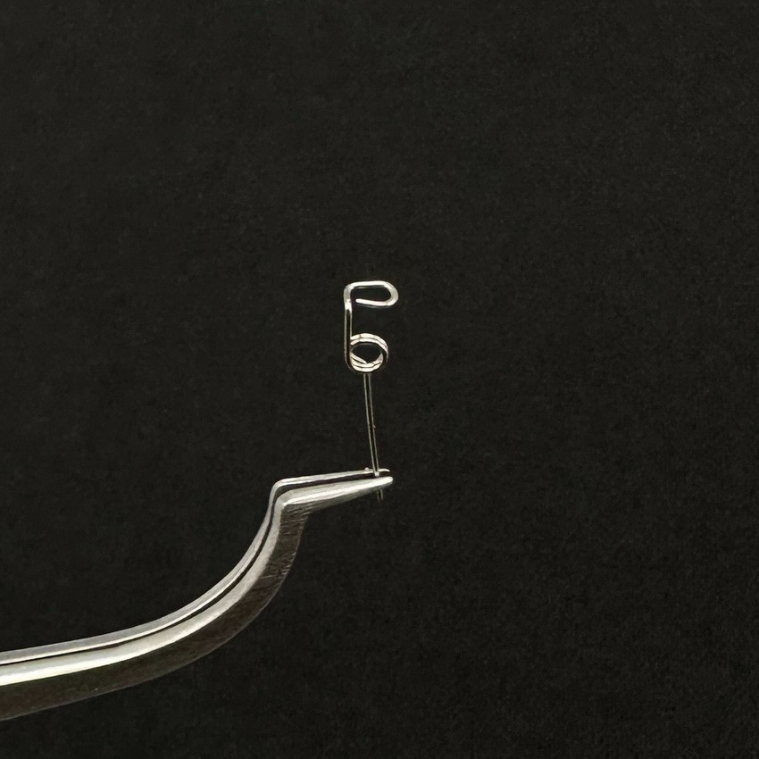 10pcs/bag Dental Orthodontic Wire Spring Rotate Teeth Uprighting Wires CW/CCW
