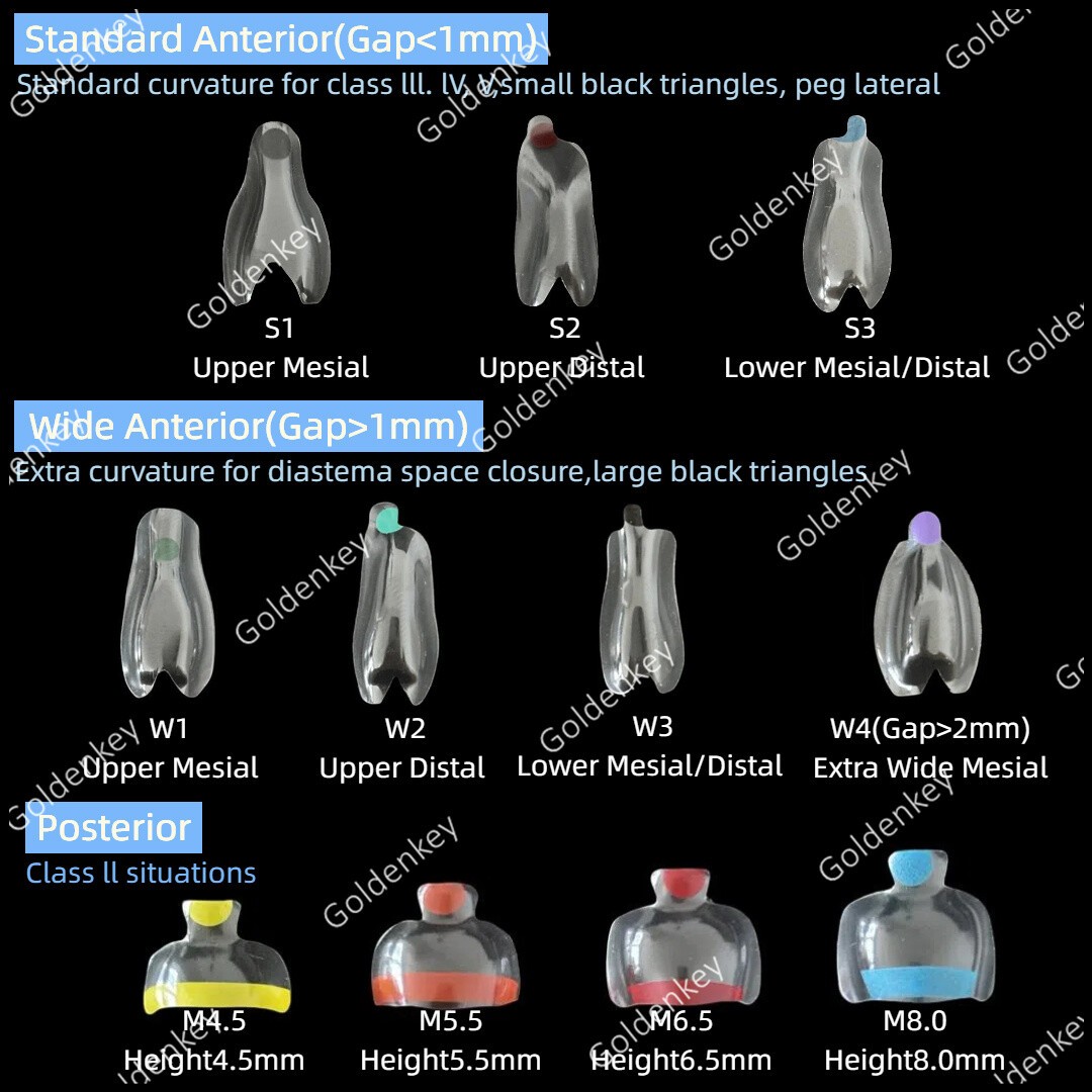 Clear Matrix Dental Anterior Posterior Transparent BT Matrices Fit BioClear