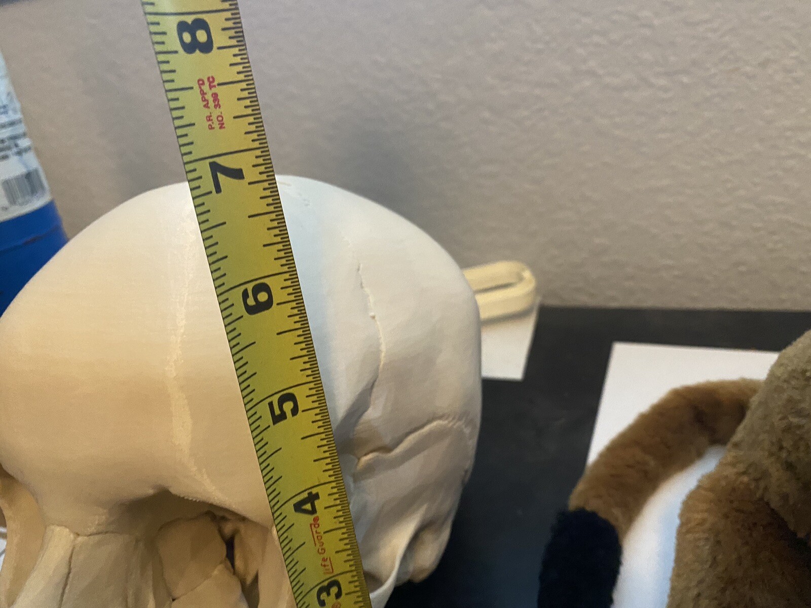 Lifesize Realistic Human Skull Replica 3D Print Model Anatomical Halloween Decor
