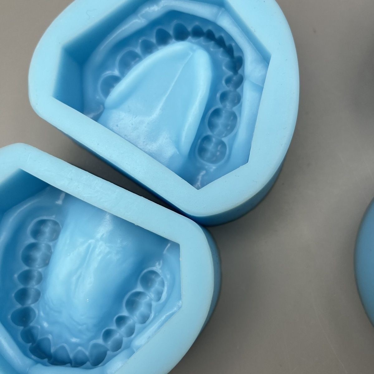 Dental Plaster Model Mold Mould of Edentulous Jaw Complete Cavity Block Silicone
