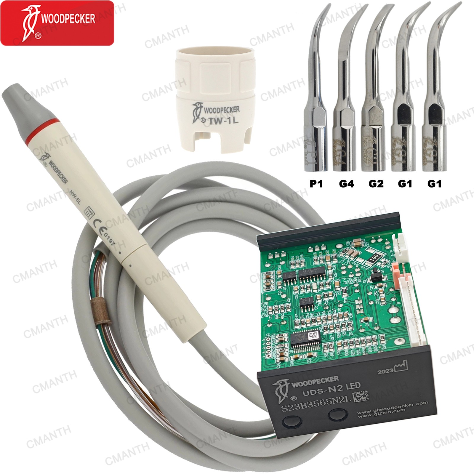 Woodpecker DTE Dental Ultrasonic Piezo Scaler Tips G1 GD1 Fit EMS NSK SATELEC