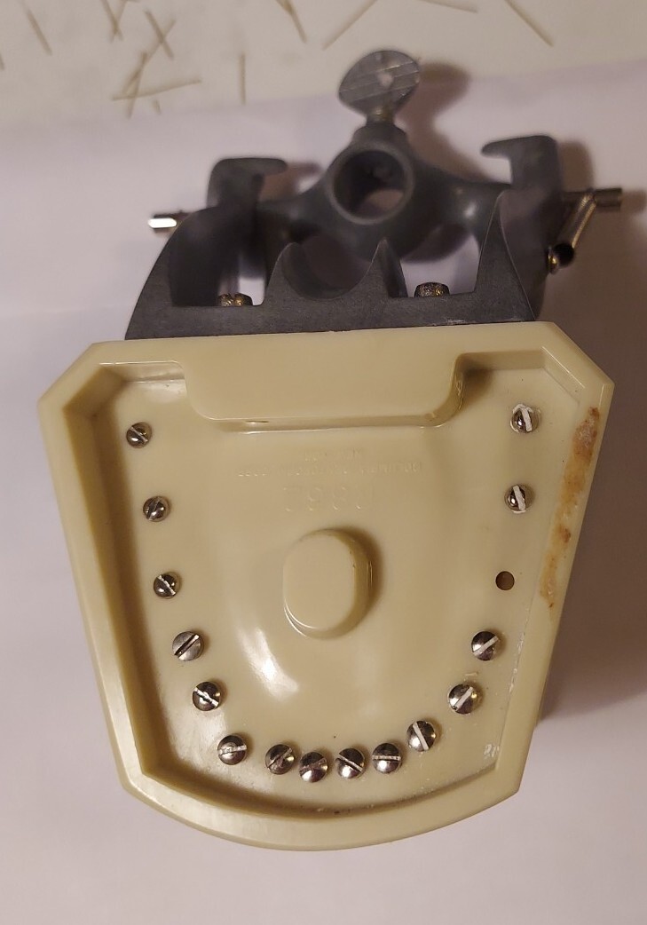 Halloween ? Dental Typodont Model with Removable Teeth R861/R862 (READ)