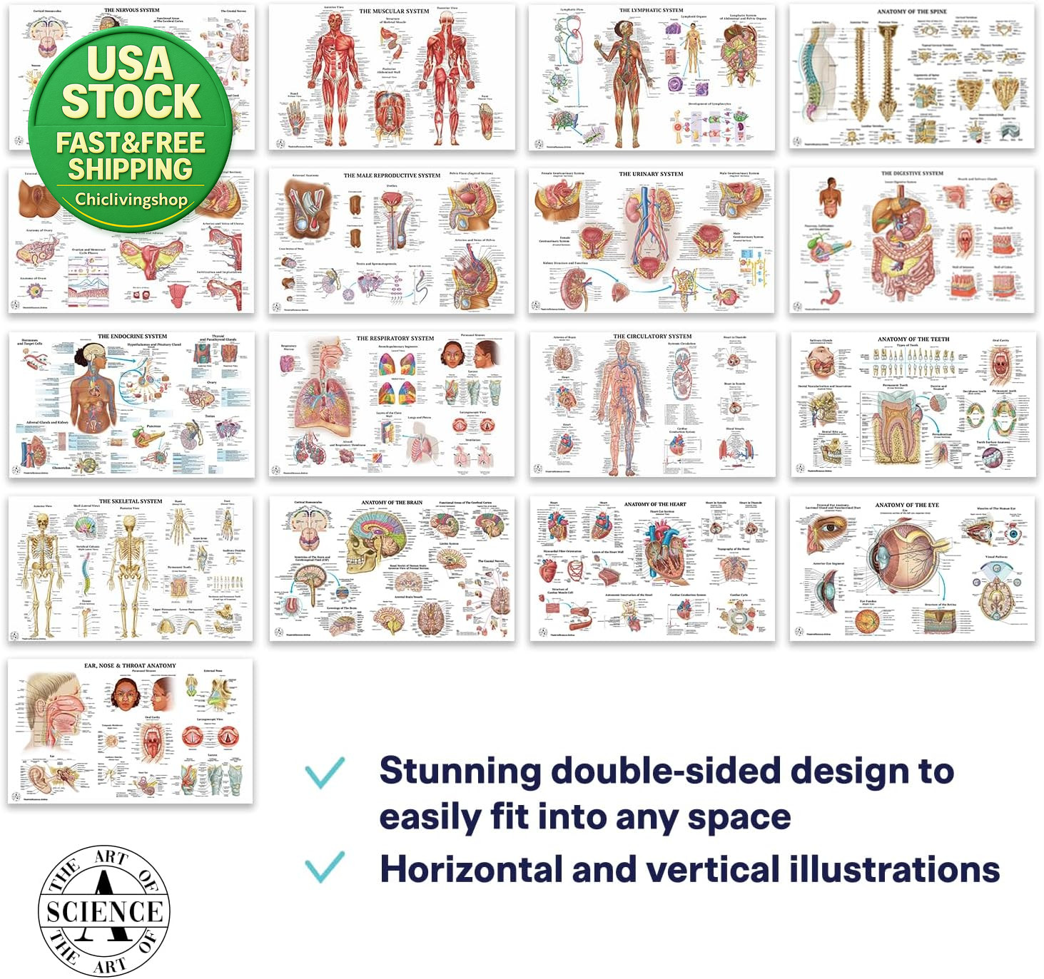 17 Human Anatomy Posters Medical Charts Classroom Office 18X30 Laminated