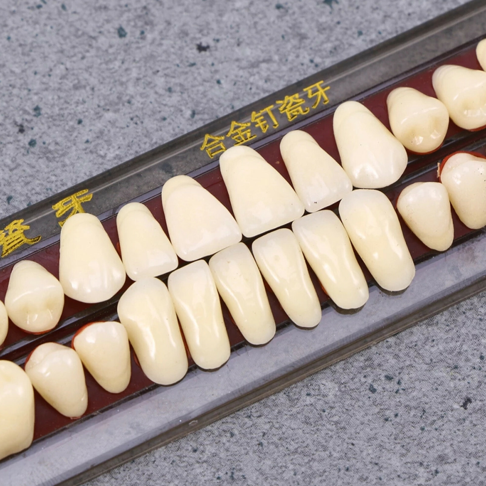 5 Set/Box Dental Alloy Pin Porcelain Teeth Material Color Guide Upper Teeth