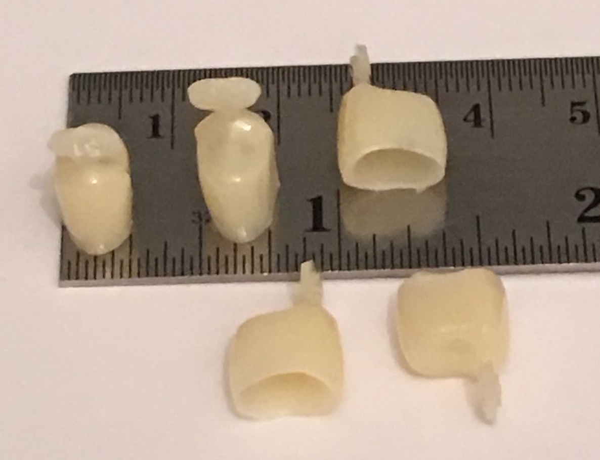 Dental Polycarbonate Temporary Crowns 5 pcs #51